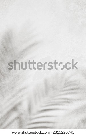 Soft shadows of palm leaves fall on a white textured concrete wall, tropical aesthetic background, minimalist summer vibe, peaceful atmosphere, clean design.