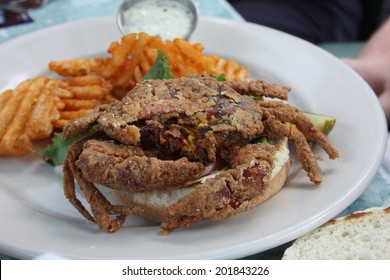 Soft Shell Crab - Charleston, SC