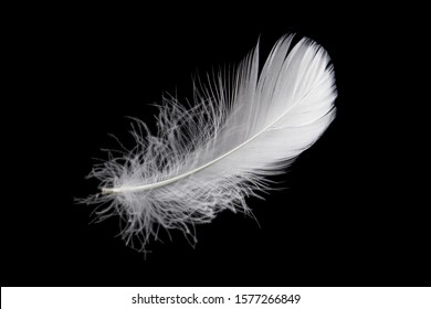 3,259,834 Feather Stock Photos, Images & Photography | Shutterstock