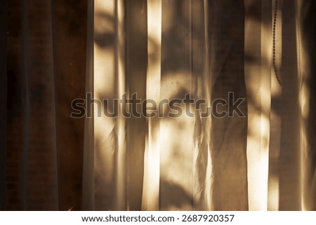 Soft sunlight filtering through delicate curtains, creating shadows of leaves and warm hues. Ideal for conveying tranquility in home decor or interior design contexts.