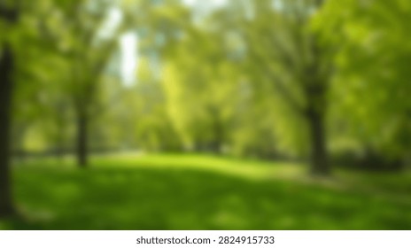 Soft sunlight streams through the canopy of vibrant green trees, illuminating a grassy meadow in a peaceful park setting.