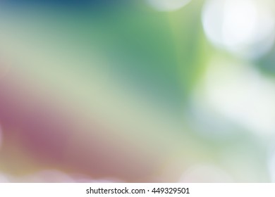 Soft sweet color background and natural bokeh  Abstract gradient desktop wallpaper for text media presentation  