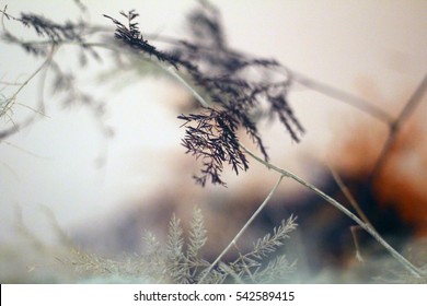 soft tones background