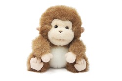 Soft Toy Baby Monkey On White Background