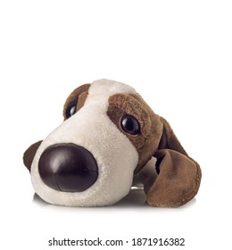 stuffed dog with big head