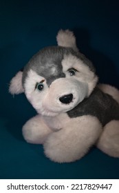 Soft Toy Husky Dog With Blue Eyes