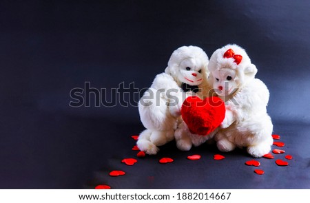 Soft toy monkeys holding a heart on a black background. A symbol of love. valentine's day