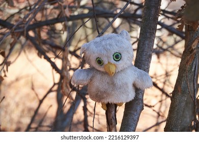  Soft Toy Owl Among Dry Branches