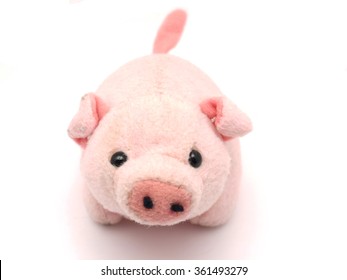 Teddy Pig Images, Stock Photos 