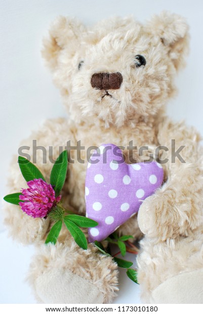 purple flower teddy bear