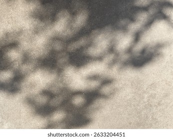 Soft tree branch shadows dancing across a sunlit concrete ground. Great for natural textures, background patterns, and subtle nature-themed visuals.