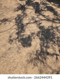 Soft tree branch shadows fall on dry, sandy ground scattered with pine needles, creating a natural abstract pattern in warm sunlight. Peaceful and earthy composition.
