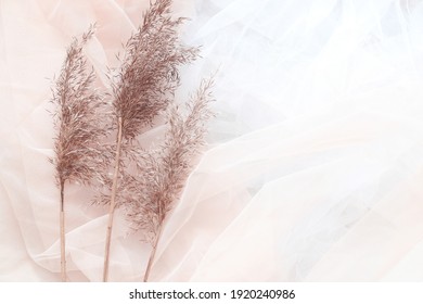 Soft Tulle Fabric With Dry Plant