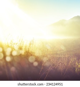 Soft vintage defocused spring background with sunshine and bokeh over grass