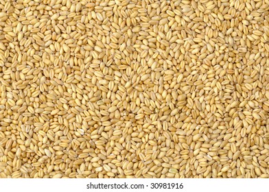 Soft Wheat Seeds Background