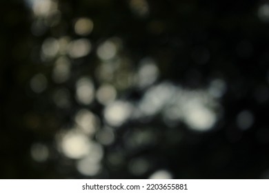 Soft White Blue And Yellow Bokeh With Green And Black Dark Areas. Bright Spots Of Light Contrast Strongly With The Dark Areas In The Photo. Defocused Sun Shining Through The Leaves Of The Tree.