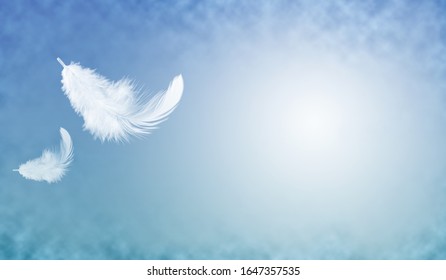 Soft a white feather floating in the air with copy space. - Shutterstock ID 1647357535