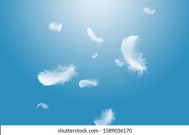 Soft White Feathers Floating In The Air
