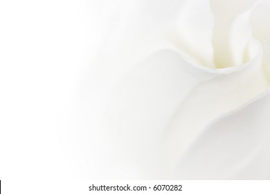 Soft White Flower Background With Empty Space
