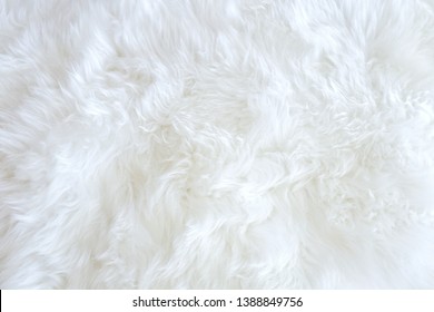 Soft White Fur Background Carpet