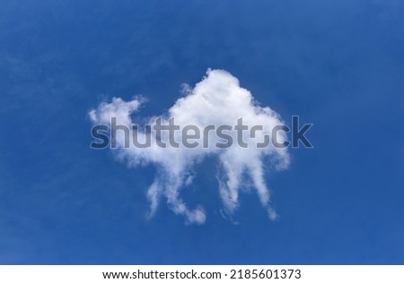 Soft wispy cloud shaped like a camel in the sky, windblown clouds, soft focus