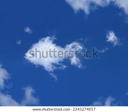 Soft wispy fish shaped cloud in a blue cloudy sky
