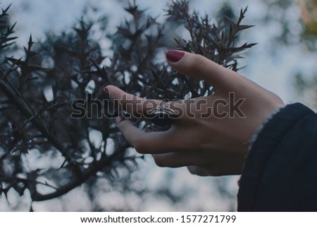 Soft women hand in touch with nature and the vegetation around. The light is soft, using depth of field. 