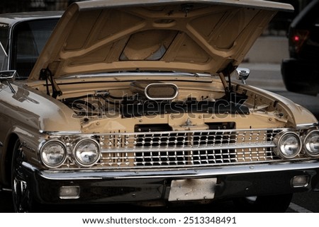 Similar – Image, Stock Photo Old rusty car Engines