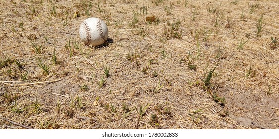 A Softball In The Field By Itself