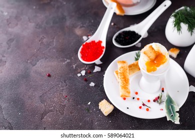 The soft-boiled egg in an eggcup with toasted bread on a dark stone background - Powered by Shutterstock