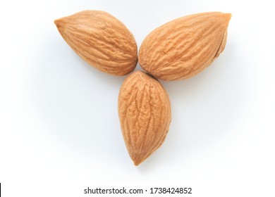 Softer Usually Edible Part Nut Seed Stock Photo 1738424852 | Shutterstock