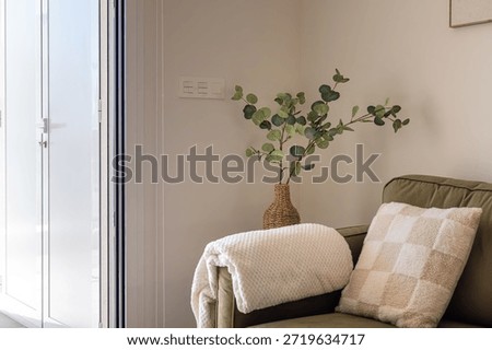 Softly lit corner featuring olive green sofa, throw blanket, pillow, and wicker vase