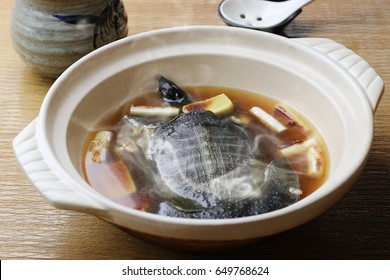 Softshelled Turtle Course Meal Stock Photo Edit Now