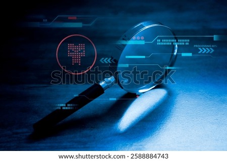 software security assessment , vulnerability check
