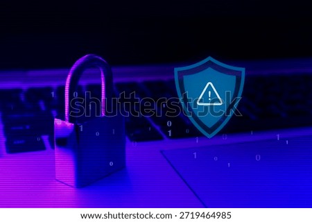 software security assessment , vulnerability check