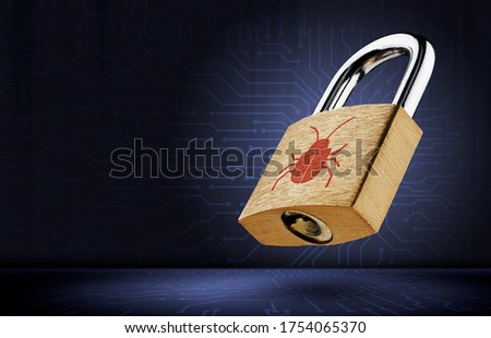 Software security concept. Errors in the program. Bugs in the program. The presence of a backdoor, rootkit.