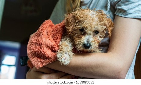 Soggy Images Stock Photos Vectors Shutterstock