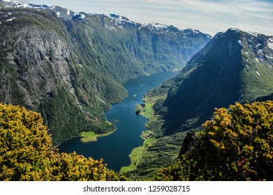 Sognefjord In Norway