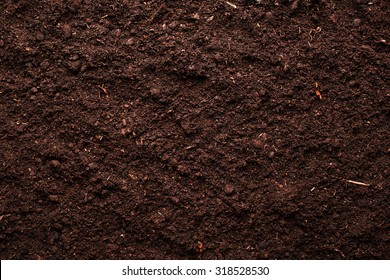 Soil Background