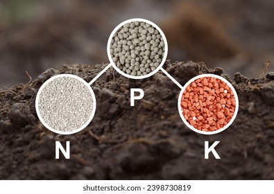 Soil background with NPK Letter and icon digital nutrients icon which necessary in plant life, Agriculture concept, Smart farming Nitrogen, Phosphorus, Potassium