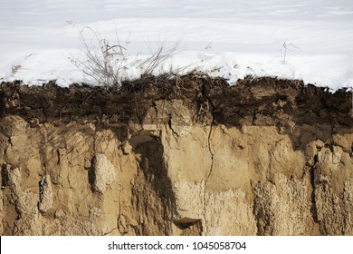 Soil Cross Section