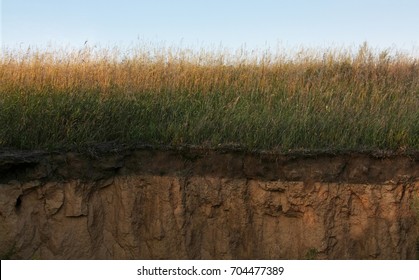 Soil Cross Section