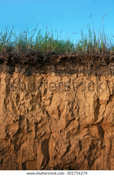 Soil Cross Section Stock Photo (Edit Now) 301756274