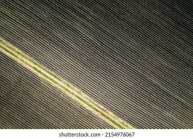 Soil Cultivation With Road, Aerial Shot