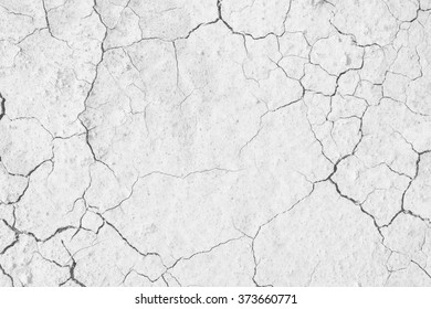 Soil Drought Cracks Texture White Background For Design.