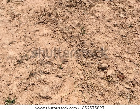 Soil or earth floor texture for background design