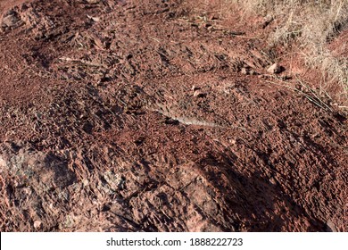 Soil Erosion Caused By Rainwater And Wind