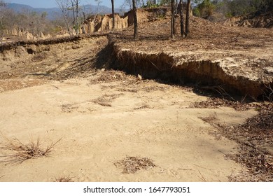 Soil erosion is caused by water erosion in nature. - Shutterstock ID 1647793051