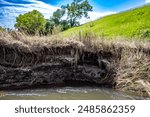 Soil erosion at drop off into a creek showing exposed roots and dirt along the water edge.