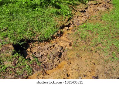 Soil erosion of earth land destruction by water